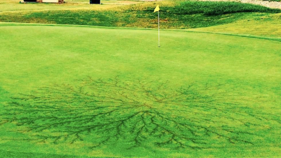 golf